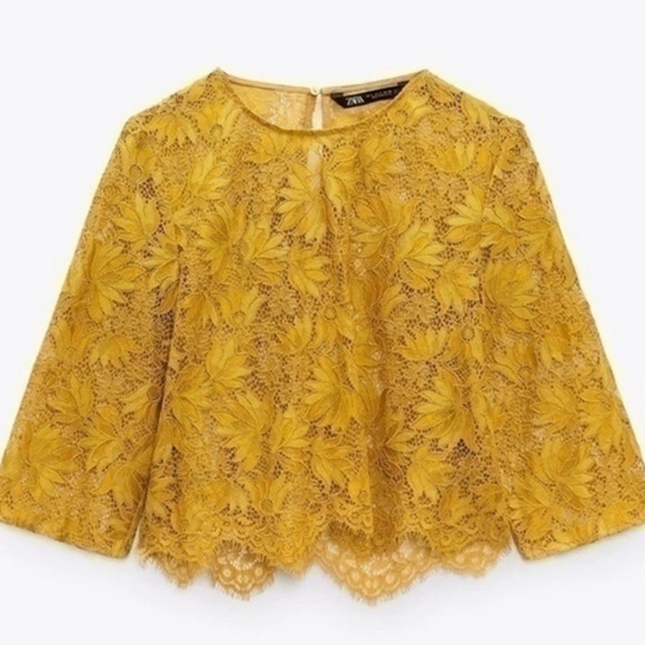 Zara Womens Mustard Lace Crop Top - Three-Quarter Sleeve Size XL - Picture 4 of 11